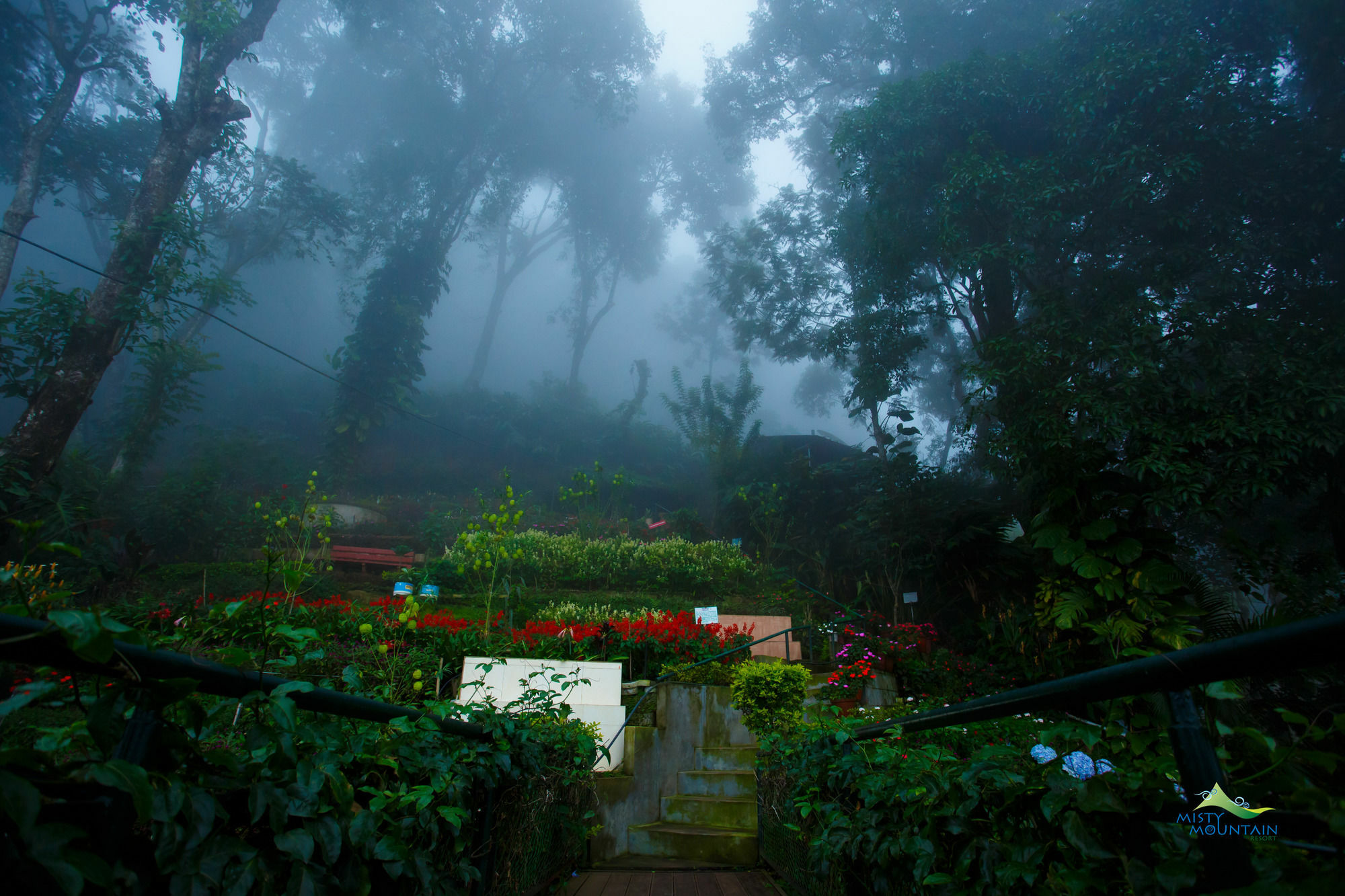 Misty Mountain Resort Munnar Eksteriør bilde