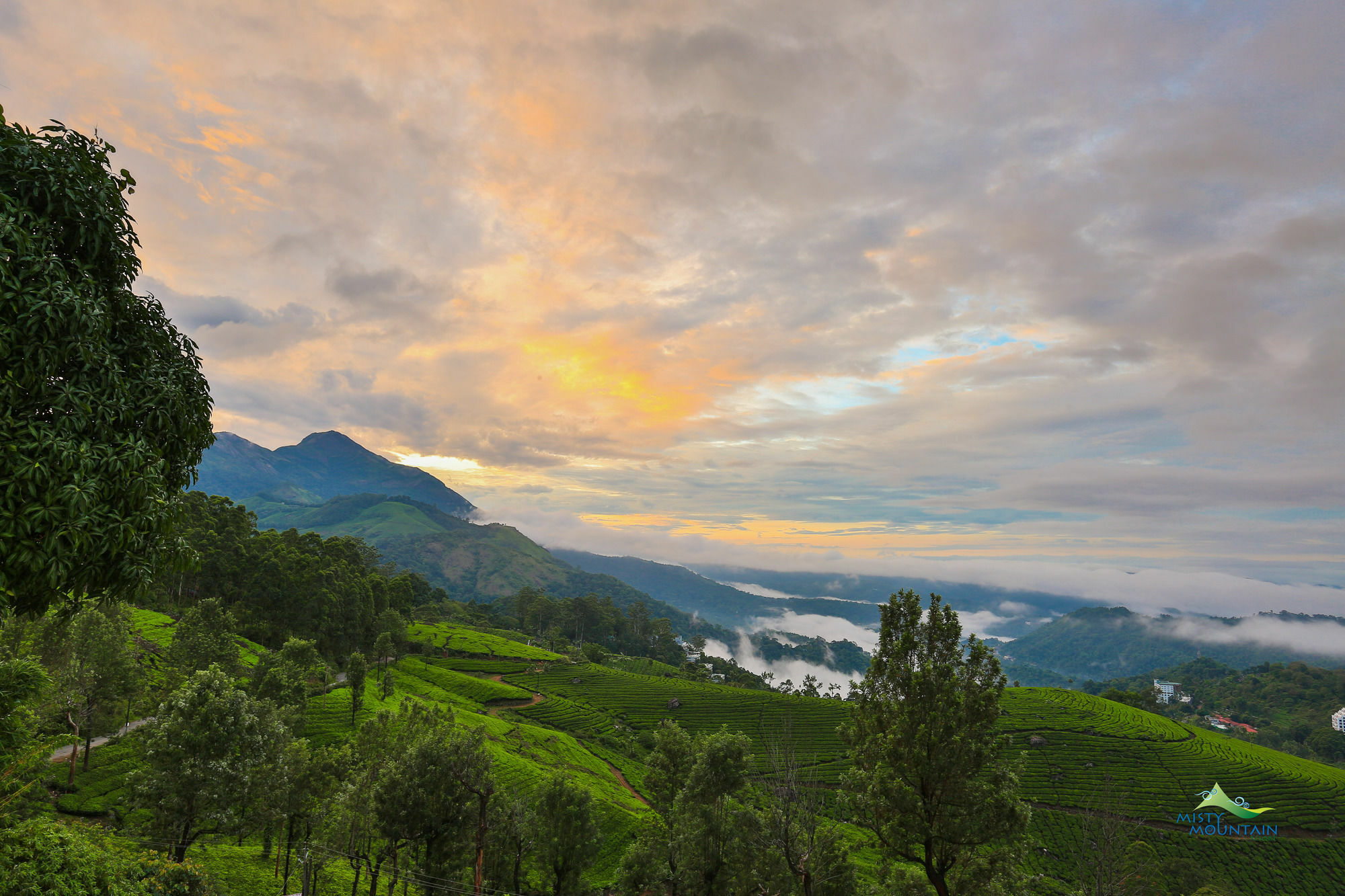 Misty Mountain Resort Munnar Eksteriør bilde